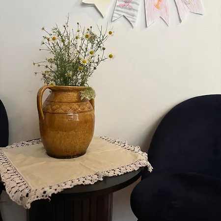 Two Flat In The Center Of The City! * Brasov